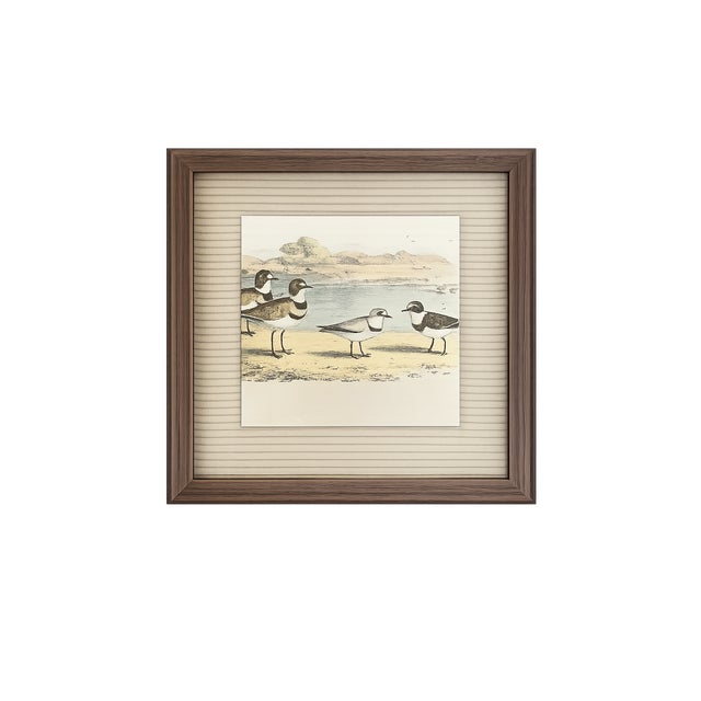Antique Framed Shorebird Prints From the Birds of North America by Jacob H. Studer - Set of 3 For Sale - Image 4 of 4