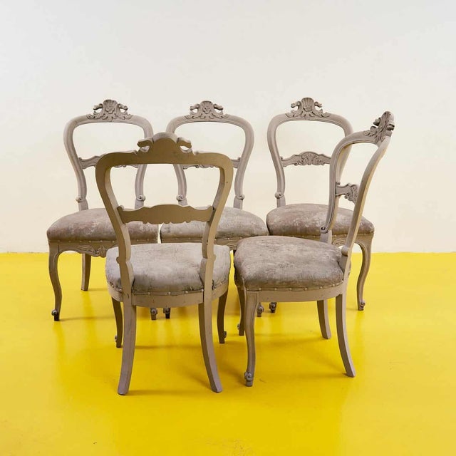 5 Dove Gray Chairs, 1900s, Set of 5 For Sale - Image 4 of 8