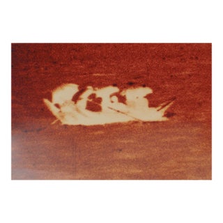 1962 Richard C. Bray Rangoon Burma Micrograph Technique Photograph For Sale