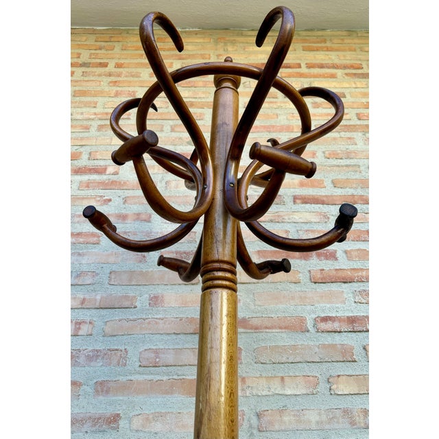 Antique Coat Rack, 1890s For Sale In Miami - Image 6 of 18