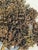 Brutalist 1950s Brutalist Curtis Jere Style Bronze Tree Wall Sculpture For Sale - Image 3 of 6