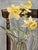 Contemporary Lucian Freud Daffodils and Celery Official Exhibition Poster For Sale - Image 3 of 3