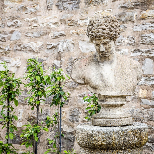 Late 20th Century Bust of the Capitoline Antinous / Hermes in Cast Stone For Sale - Image 3 of 6