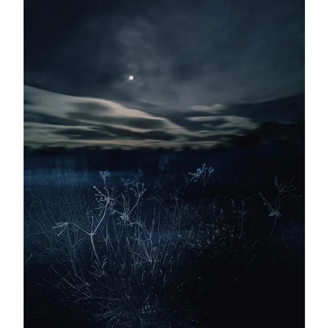 Stay a while by justin pumfrey 40x30" inches / 101 x 76 cm paper size signed and numbered by the artist on front limited...