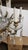 Early 19th Century Crystal and Bronze Chandelier For Sale - Image 9 of 10