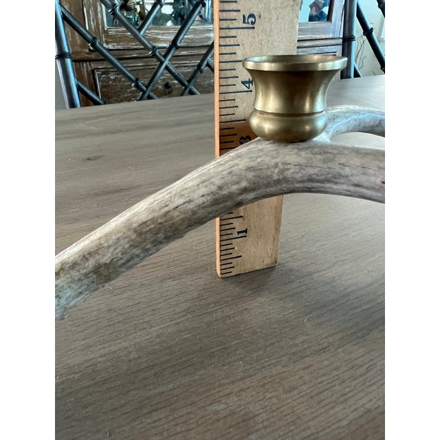 Vintage Natural Drop Deer Antler Candelabra For Sale - Image 9 of 10