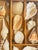 1970s Antique Sea Shell Display Selection in Wooden Trayin For Sale - Image 5 of 5