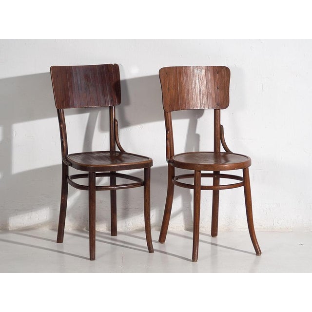 Bentwood Chairs attributed to Michael Thonet, 1940s, Set of 4 For Sale - Image 4 of 12