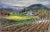 This artwork "Napa Vineyard" c.2000 is a color pastel on paper by noted American artist Reif Ray Charles Erickson,...