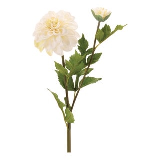 Dahlia Flower Stem (Set of 6) For Sale