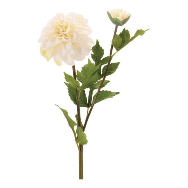 Dahlia Flower Stem (Set of 6) For Sale