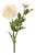 Dahlia Flower Stem (Set of 6) For Sale