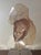 1980s Marc Sijan Hyperrealist Lucite Woman Bust Sculpture For Sale - Image 9 of 11