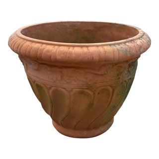 Vintage Aged Large Terra Cotta Planter For Sale