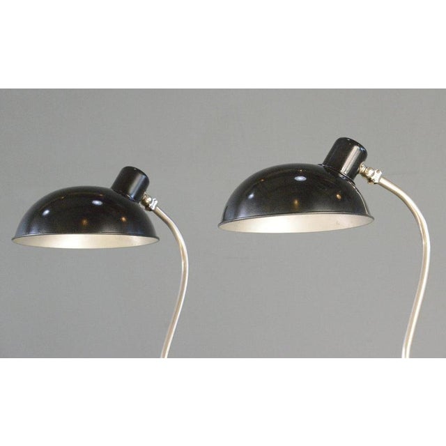 Black Model 842 Table Lamps from Hala, 1930s, Set of 2 For Sale - Image 8 of 11