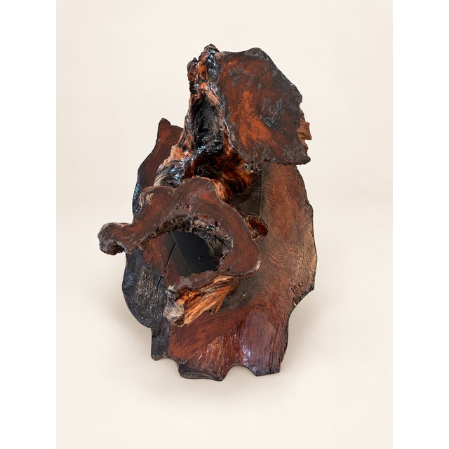 Mid-Century Modern Vintage Organic Modern Redwood Burl Coffee Table For Sale - Image 3 of 7