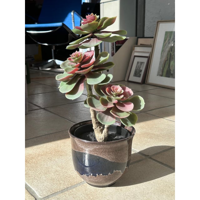 Cobalt Blue Glazed Studio Ceramic Planter from Serocka, Germany, 1970s For Sale - Image 13 of 14