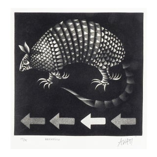 Mid 20th Century Mario Avati Armadillo Mezzotint For Sale