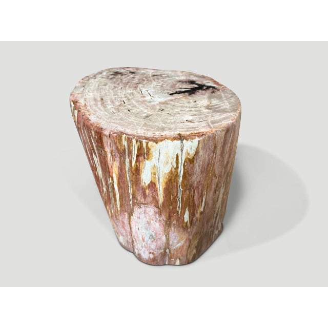 Andrianna Shamaris Coral Toned High Quality Petrified Wood Side Table For Sale - Image 14 of 18
