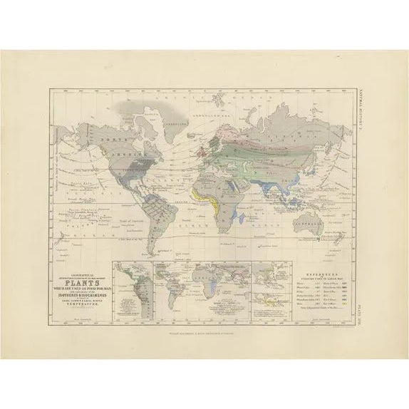 Antique Map Showing the Distribution of Plants by Johnston 1850 For Sale
