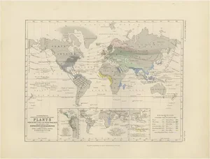 Antique Map Showing the Distribution of Plants by Johnston 1850