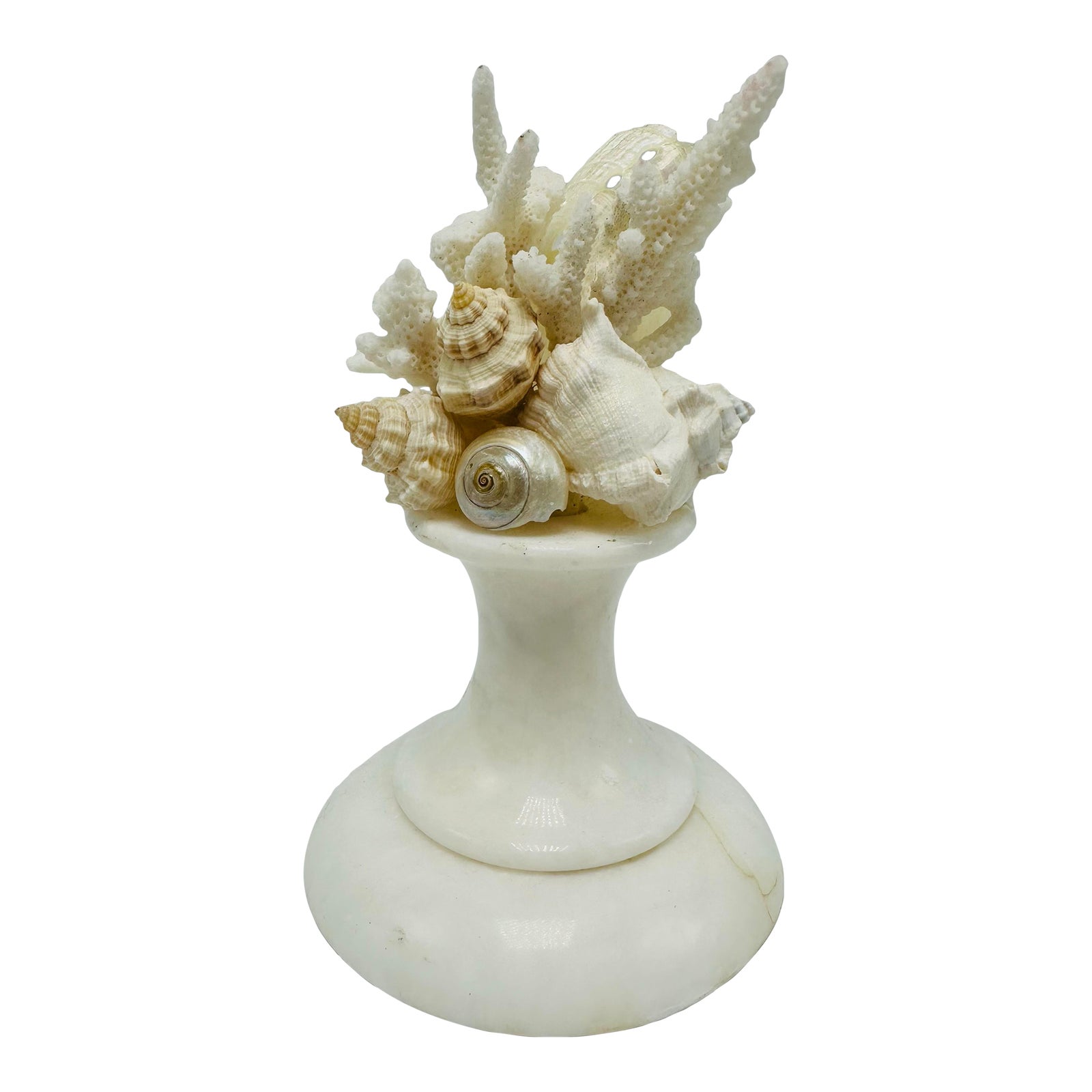 Shell and Marble Sculpture | Chairish