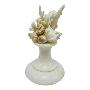 Shell and Marble Sculpture