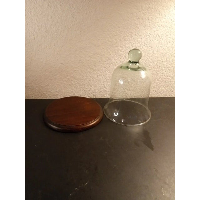 1980s Tall Cloche With Walnut Wood Base For Sale - Image 4 of 6