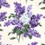 Contemporary Schumacher x Johnson Hartig Proust's Lilacs Fabric in Purple For Sale - Image 3 of 5