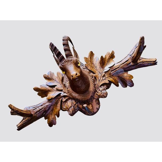 1900s Black Forest Goat Coat Rack With Glass Eyes For Sale In Aspen - Image 6 of 8