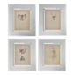 Shop Thrive Decor