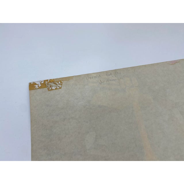 Paper Polish Circus Poster by Stanislaw Miedza-Tomaszews, 1975 For Sale - Image 7 of 8