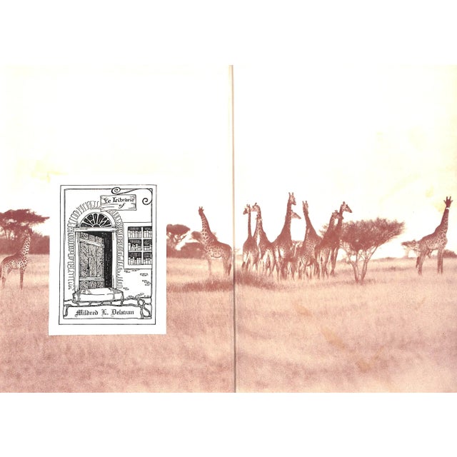 Traditional "I Married Adventure" 1940 Johnson, Osa For Sale - Image 3 of 8