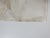 1982 watercolor on paper modernist painting of abstract garden by Jim Prior (20th-21st c.) American. Signed and dated...