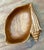Vintage Carved Wood Shell Bowl For Sale - Image 15 of 16