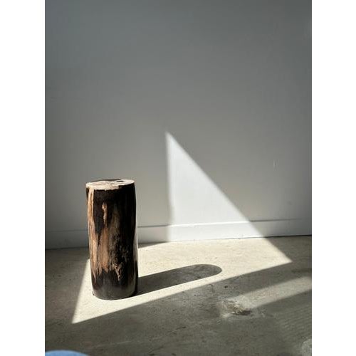 Side Table in Multicolored Petrified Wood with White Top For Sale - Image 13 of 18