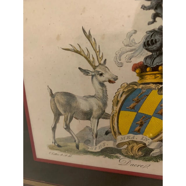 Colored Etchings With Royal Shield Motife -A Pair For Sale - Image 4 of 10