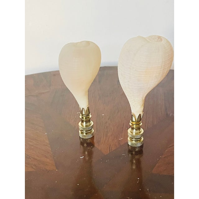 Florida sea shells paper figs as lamp finials on brass bases.