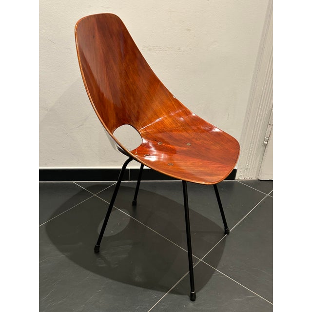Chair from Vittorio Nobili, Italy, 1955 For Sale - Image 9 of 14