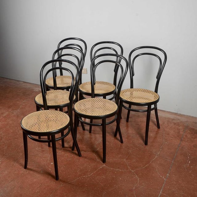 Chairs in the style of Thonet, Set of 6 For Sale - Image 3 of 9
