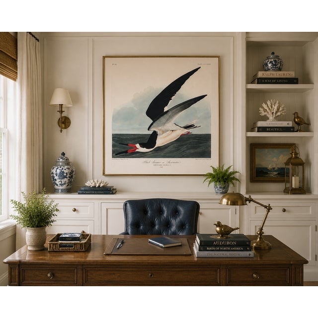 Not Yet Made - Made To Order Black Skimmer, Vintage Art Print Reproduction From Birds of America by John James Audubon, 24" X 24" For Sale - Image 5 of 10