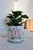 1990s Small Vintage Earthenware Planter with Pink Flower Pattern For Sale - Image 5 of 9