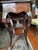 English Antique Louis XV Tea /Occasional Table With Painted Cameo of Angel For Sale - Image 3 of 12