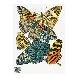 Vintage Butterfly Illustration, Art Deco Insect Print Reproduction, 1925, 18" × 24" For Sale