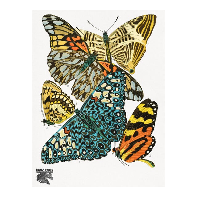 Vintage Butterfly Illustration, Art Deco Insect Print Reproduction, 1925, 18" × 24" For Sale