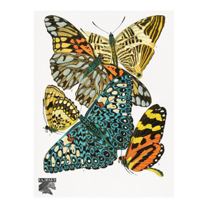 Vintage Butterfly Illustration, Art Deco Insect Print Reproduction, 1925, 18" × 24"