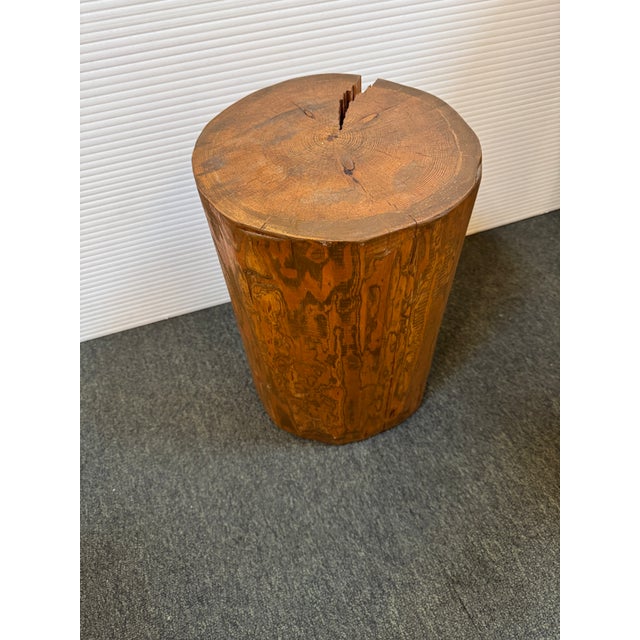 Early 21st Century Organic Tree Stump Side Table/Stool For Sale - Image 5 of 12
