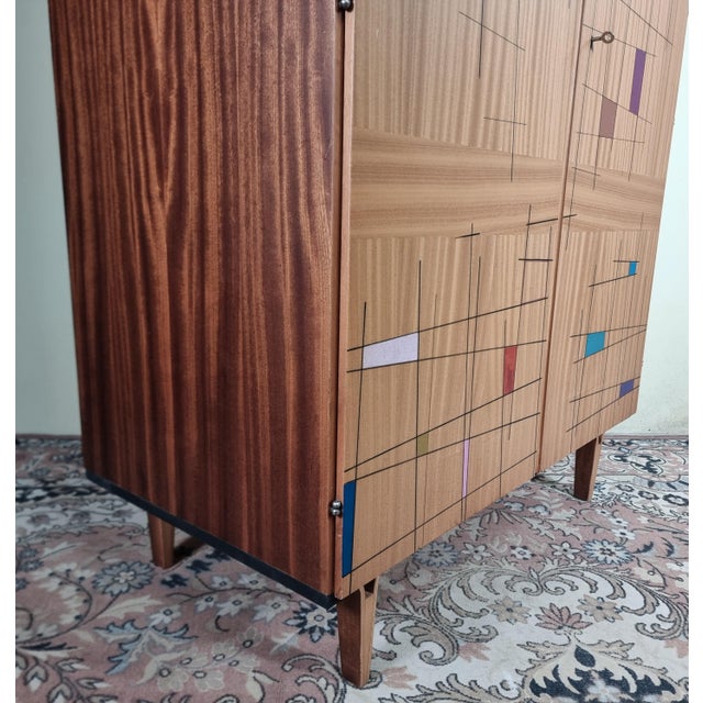Vintage Wardrobe by Francisek Mezulanik, 1960s For Sale - Image 12 of 13