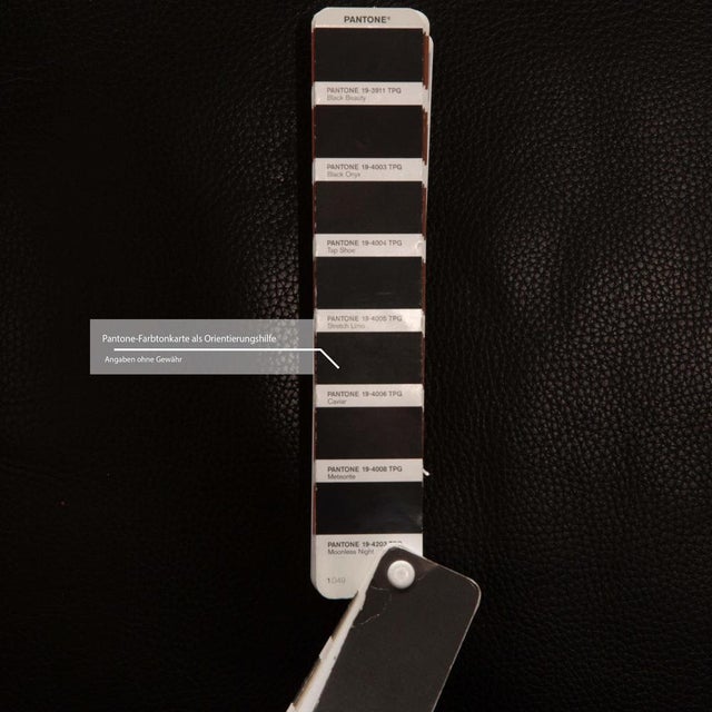 Erpo City Leather Two-Seater Sofa For Sale - Image 5 of 10