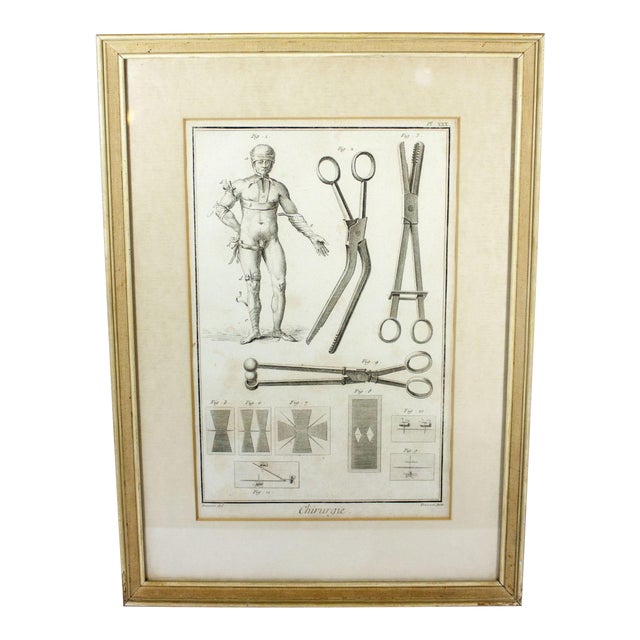 five-things-you-should-know-about-18th-century-medical-history-pnswg